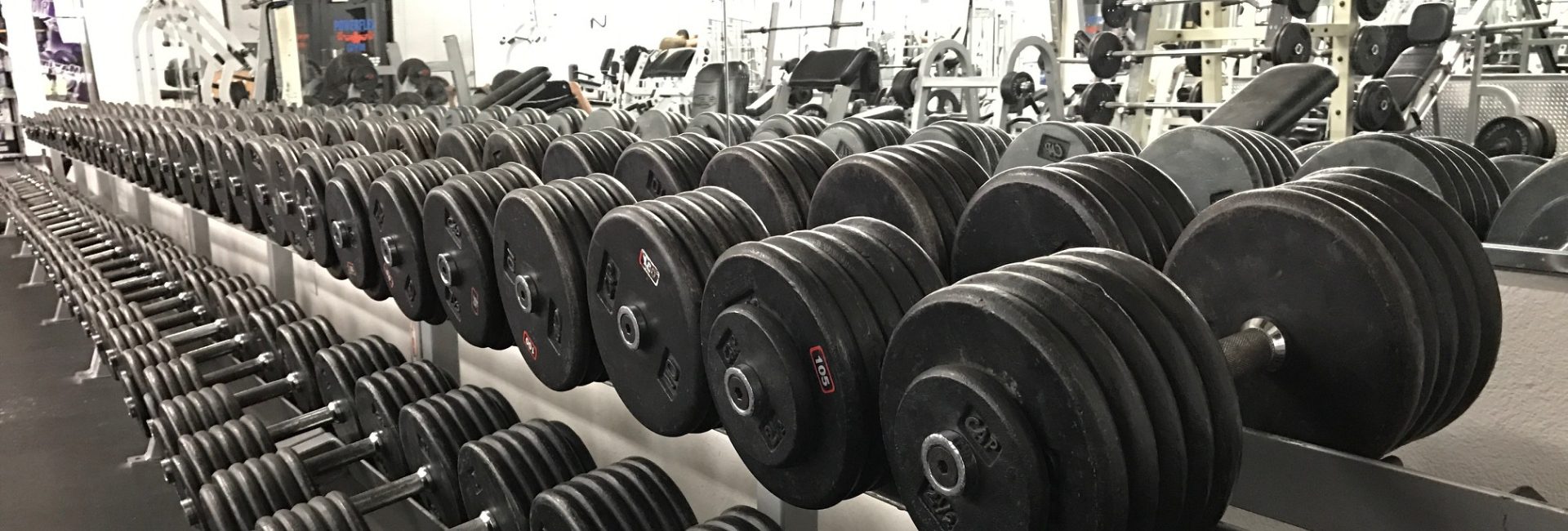 free weights lined up nicely at a albuquerque gym near me