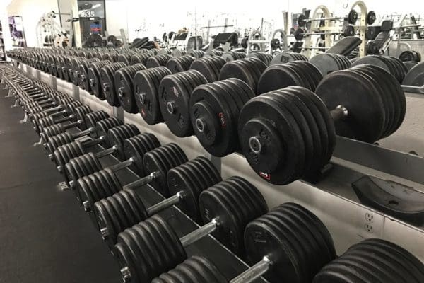 free weights in Albuquerque gym NE Heights
