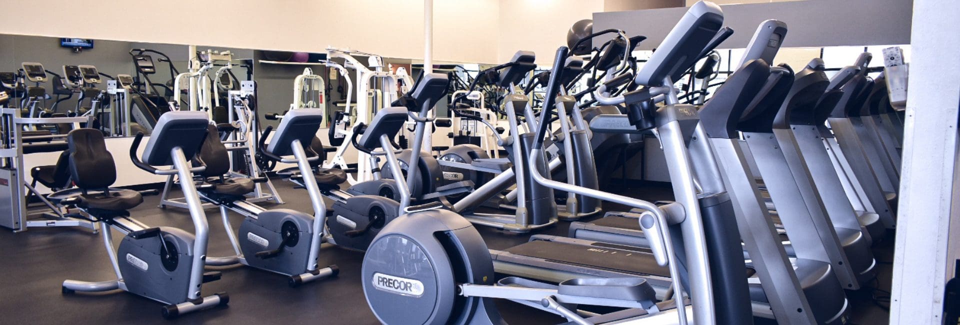 rows of cardio machines in a gym near me in Albuquerque ne heights