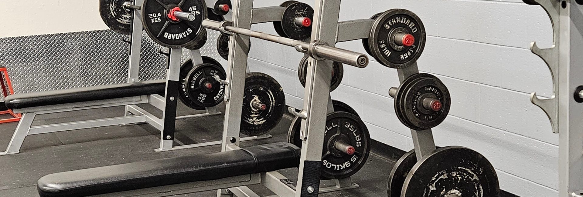 powerflex gym modern equipment strength training barbells and plates